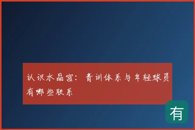 认识水晶宫：青训体系与年轻球员有哪些联系