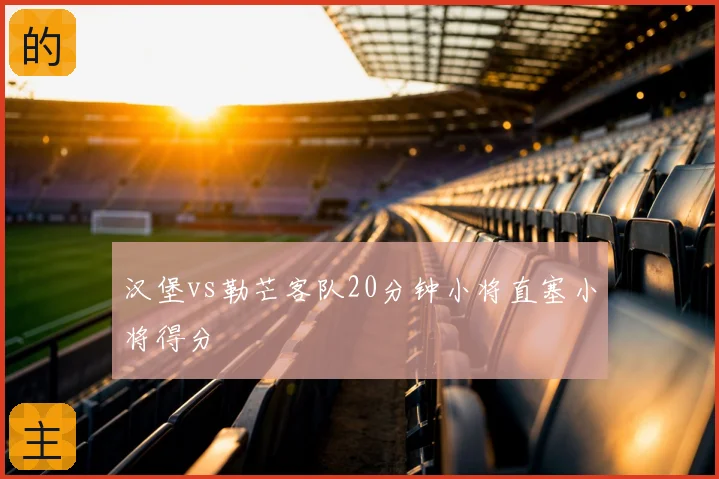 汉堡vs勒芒客队20分钟小将直塞小将得分